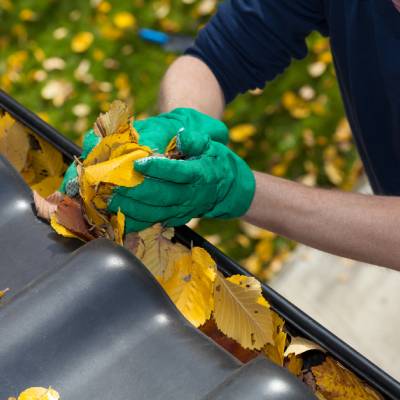 GUTTER CLEANING